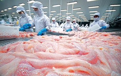 Pangasius exports are still affected by COVID-19 