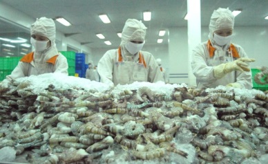 QI2017 Vietnam shrimp exports to EU went up 6.4%