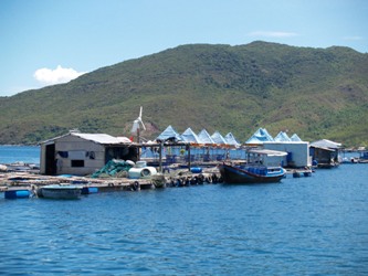 Khanh Hoa province has over 19,000 lobster farming cages
