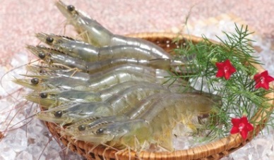 Analysis of Vietnams shrimp export competitors