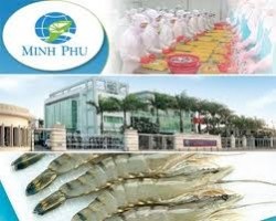 Minh Phu Seafood Corporation to issue bonds worth  VND 500 billion  