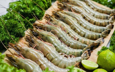 Vietnam shrimp exports after signing EVFTA Advantages and challenges