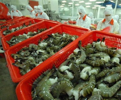 Vietnam to promote shrimp exports to EU next year