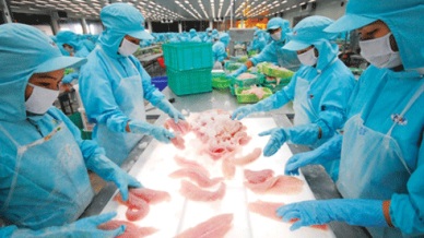 Pilot programe of eletronic certificates for seafood exported to EU