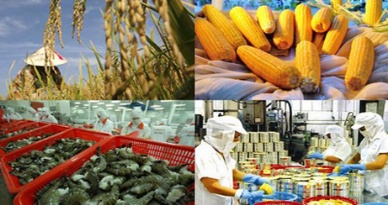 Agro-forestry, fishery export fetches nearly US$16 billion