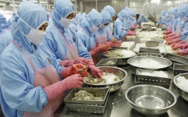 Vietnam shrimp exports to EU expected to rise as EVFTA takes effect