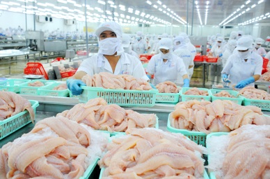 Vietnam’s pangasius exports to China surged 43%