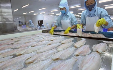 Pangasius exports to Malaysia rose by 25%