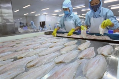 Pangasius exports in 2019 may see the negative growth