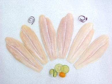 Agifish produced 8,000 MT of raw pangasius in Q.IV2012