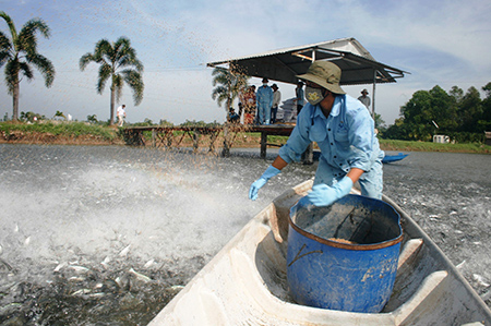 Agifish to develop fish farming areas