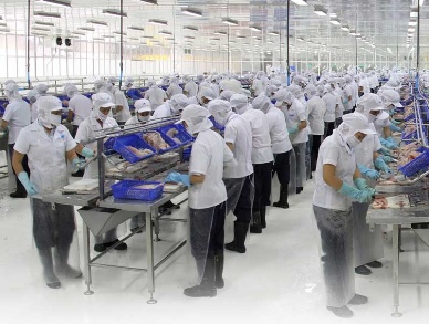 Vietnam seafood export to recover in Q.III2012