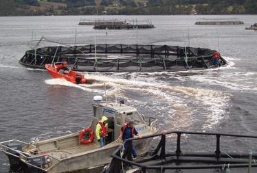 Food Crisis The Development of Modern Aquaculture in Australia is an Imperative