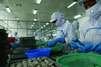 Baseafood’s export value up to US$20 million