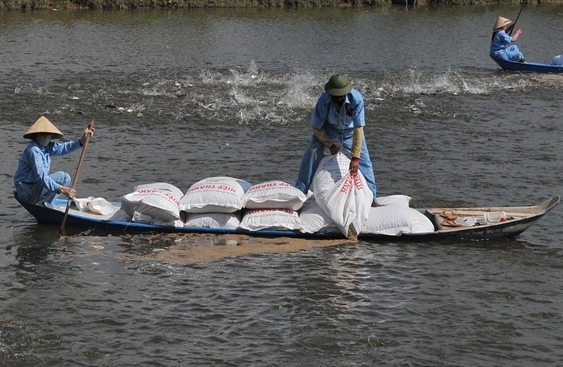 Establishing floor price for pangasius exported to the U.S.