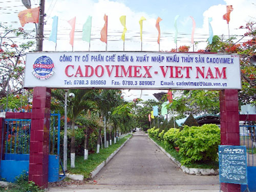 Cadovimex Solutions to overcome difficulties