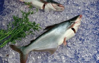 Cadovimex II Hard to reach 2012 profit target