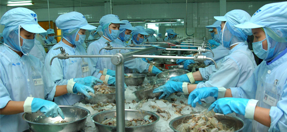 Camimex developing value-added shrimp products