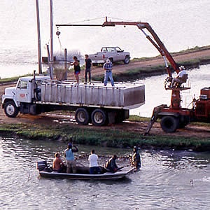 Catfish Processing Down 19 Percent from Last Year