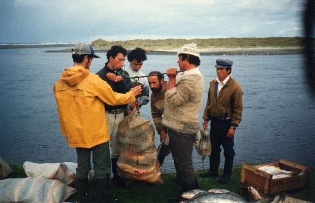 Chile Seafood exports rise continues in the first four months