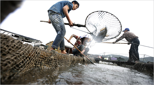 China Releases Five Year Food Safety Plan