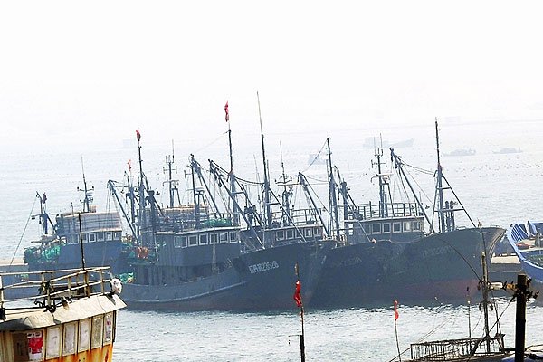 China Overseas Fisheries Association (COFA) was created