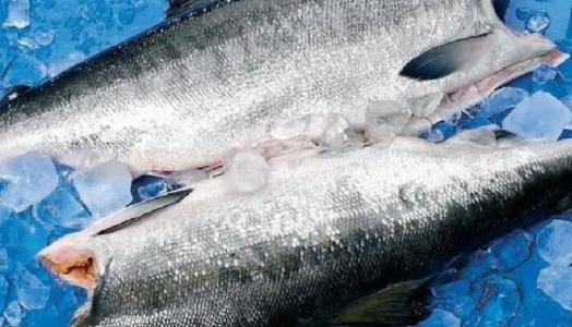 Cod HG prices steady for how long