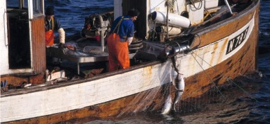 Norway-Russia set record Barents Sea cod quota of 1 million tons for 2013
