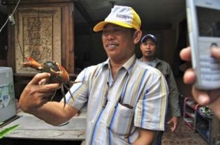 From fishing to crab farming in Indonesia