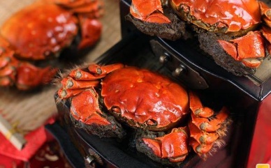 China - Pesticide puts crab food safety at issue