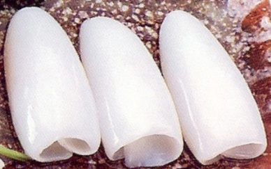 Pakistan - China offers lower price for cuttlefish exporters fear decline in exports