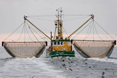 WWF calls for stronger action against unfair fishing