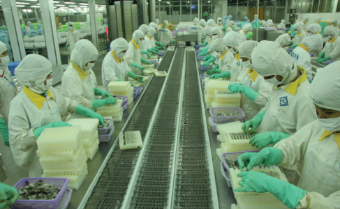 Fimex VN Volatile shrimp prices in early 2012