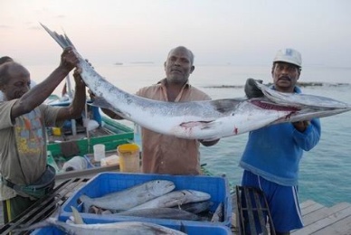 Indonesias seafood nabs global food safety certification