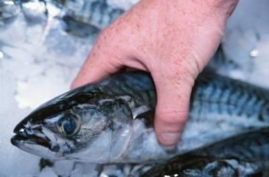 Supermarkets Choosing Frozen Fish Over Fresh