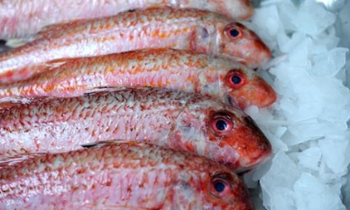 UK domestic fish stock can’t meet demand