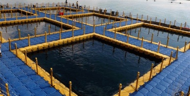 WWF releases guide to green commodity investing