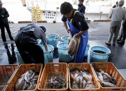Seafood caught off Fukushima finally goes back on sale