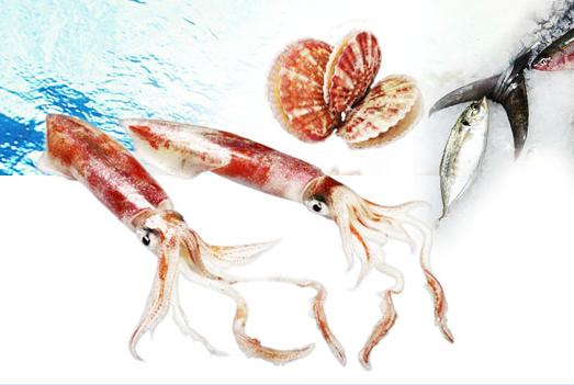 Hai Nam Co., Ltd’s dried marine products attracted U.K. buyers