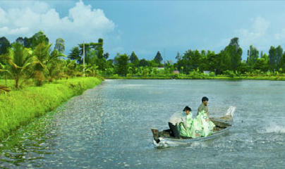 Hung Ca to build integrated chain from farming to export