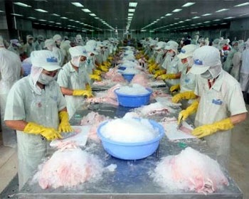 What’s causing the pangasius sales crash