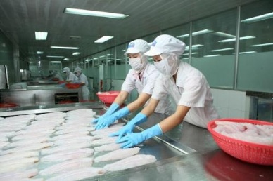 Pangasius export to the EU in 2013