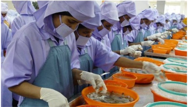 Euro crisis, Japan trade barriers hit Indias seafood export