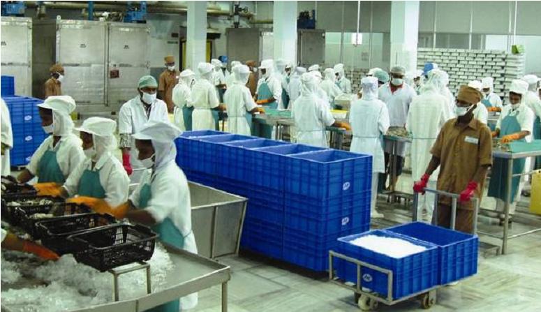 India seafood exports up 22%