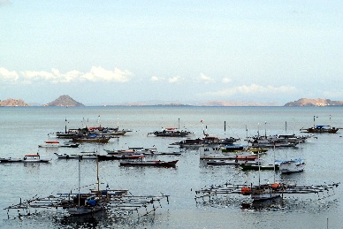 Indonesia expects fishery exports up to 5 bln USD in 2013