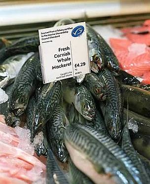 The U.K. continues to develop MSC-certified seafood