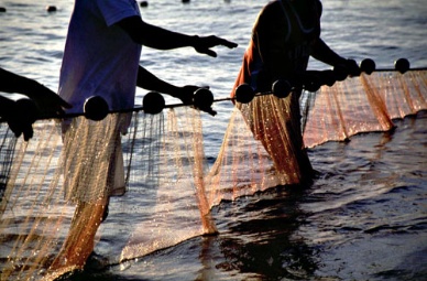 Northern Mindanao aquaculture industry posts 5% growth in Q3