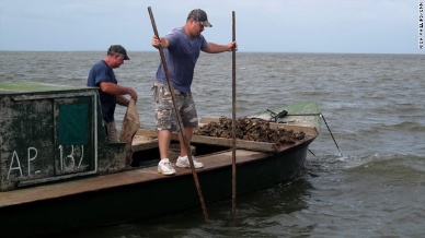 Florida seeking federal disaster aid due to oyster decline