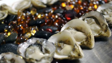 U.S. Seafood hot in 2013