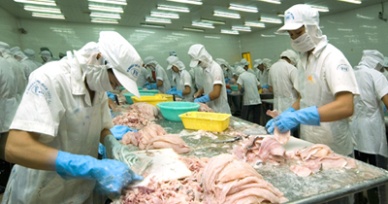 Mekong Delta reached US$1.6 billion of pangasius export